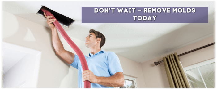 Air Duct Mold Removal in Cypress